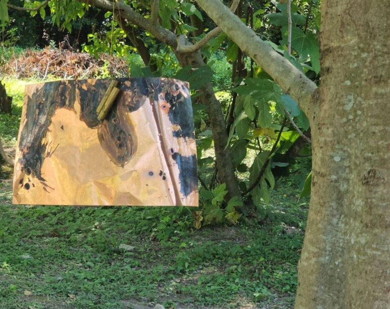 日常の事実展　HIRAMATSUGUMI